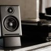 DS1 computer speaker stands