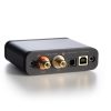 D1 DAC Headphone Amp