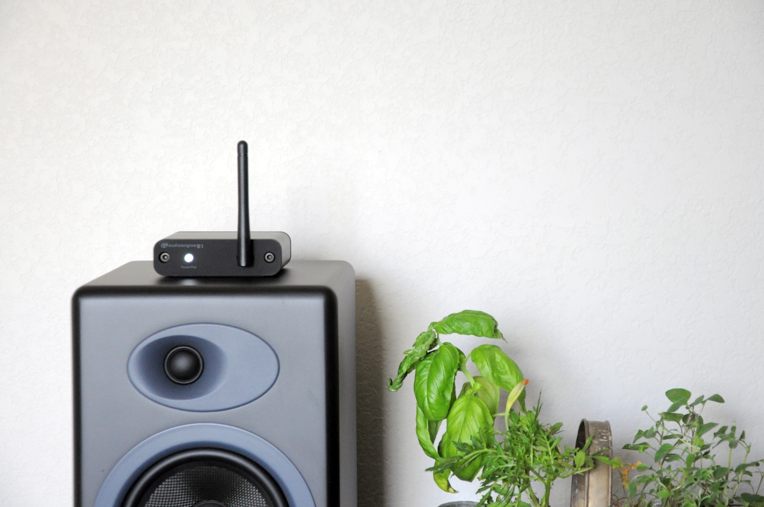 B1 Bluetooth Music Receiver