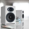 P4 Passive Speakers
