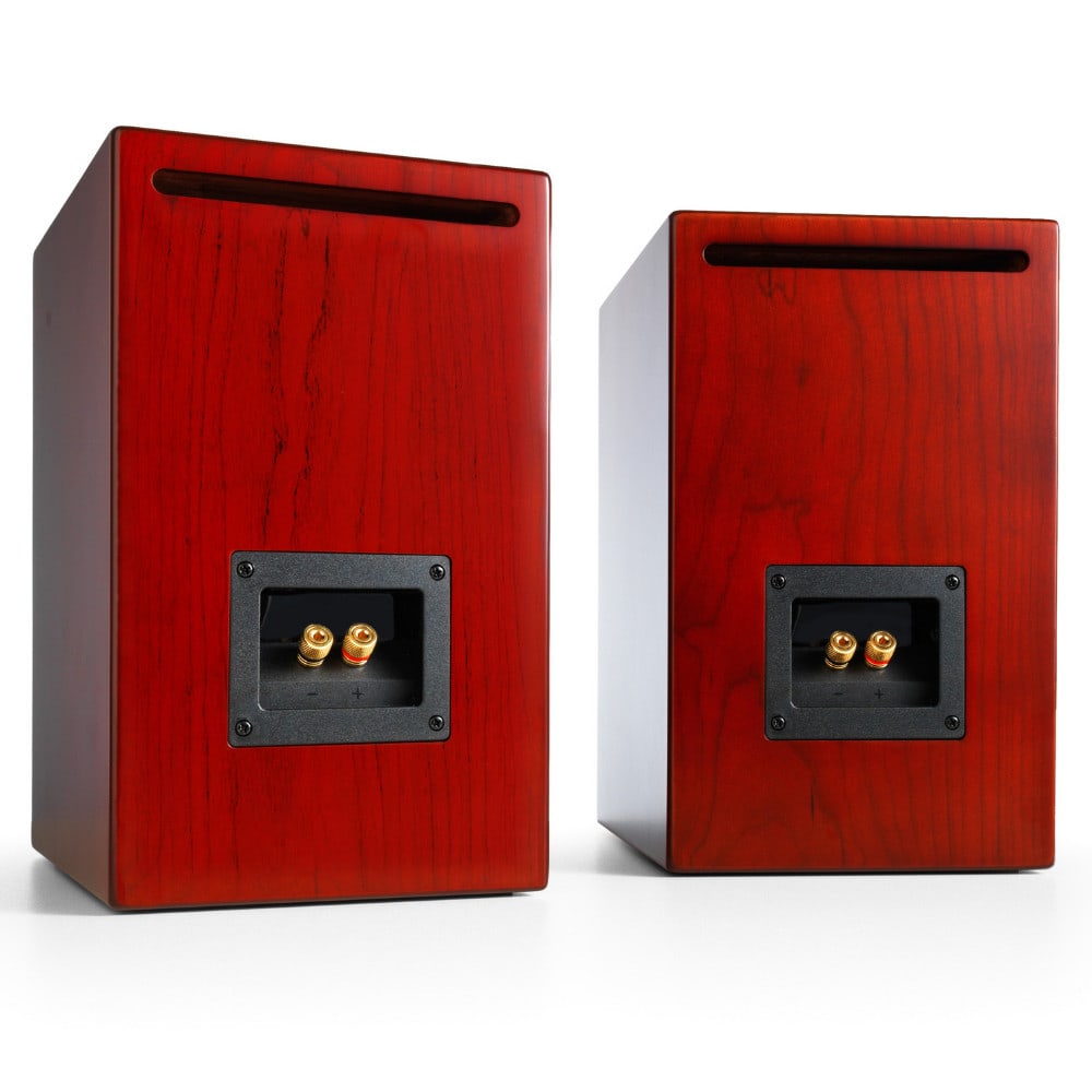 HDP6 Passive Speakers
