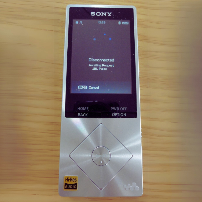 What is a Digital Audio Player (DAP)? 
