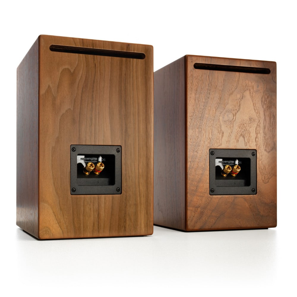 HDP6 Passive Speakers
