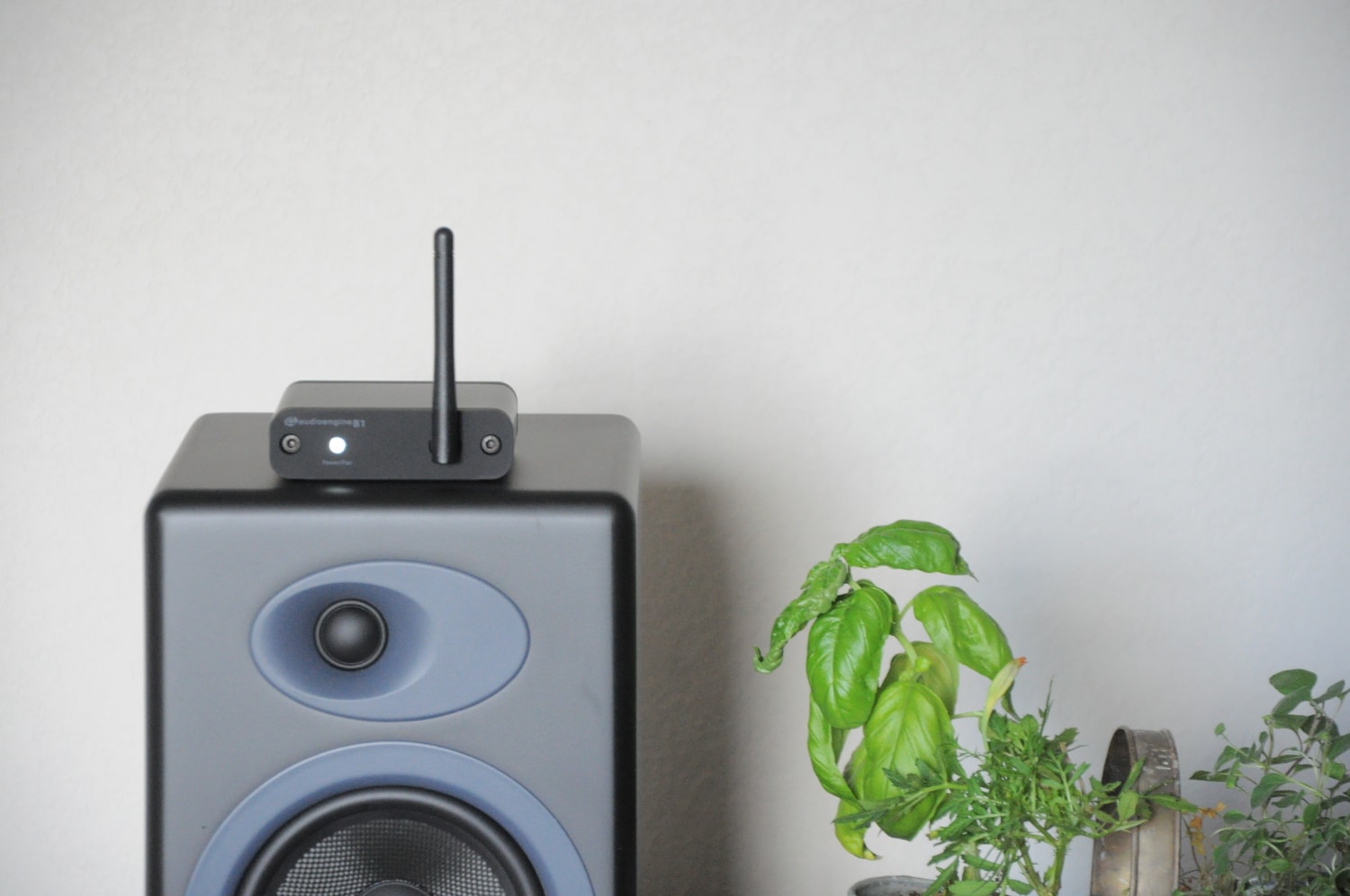B1 Bluetooth Music Receiver