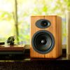 A5+ Speaker System