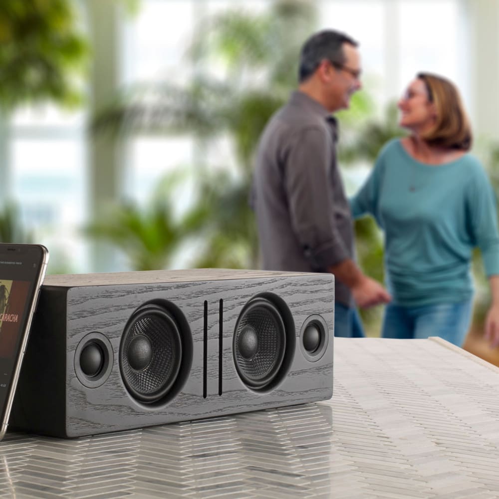 B2 Wireless Speaker