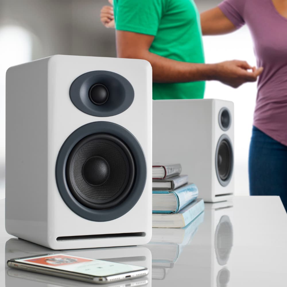 P4 Passive Speakers