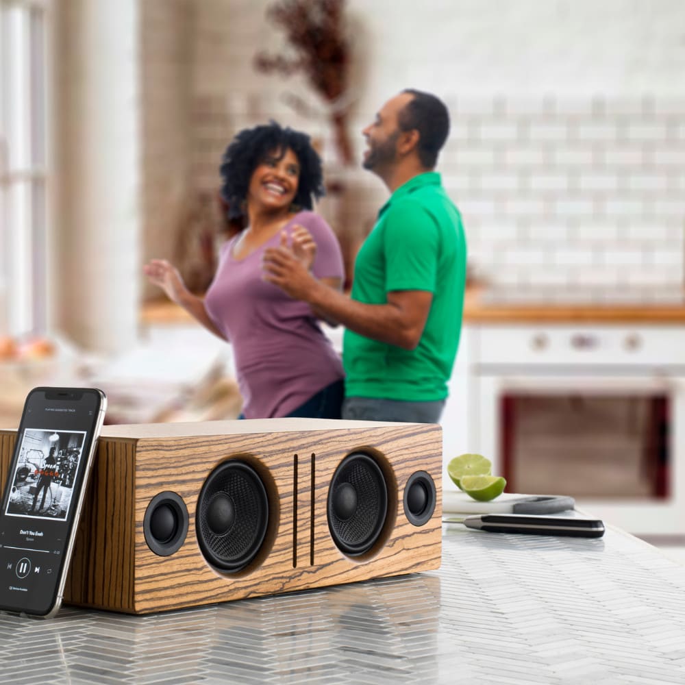 B2 Wireless Speaker